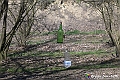 VBS_8801A- Risvegli